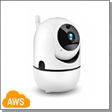 Поворотная Wi-Fi IP-камера Amazon-288С-8GS с записью в общий вид